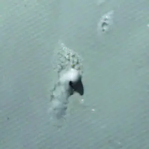 SEA -EAGLE- 285FPB -Frameless -Pontoon- Boat-56