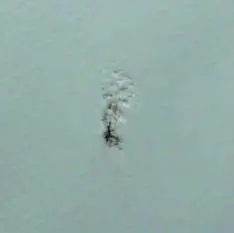 SEA -EAGLE- 285FPB -Frameless -Pontoon- Boat-59