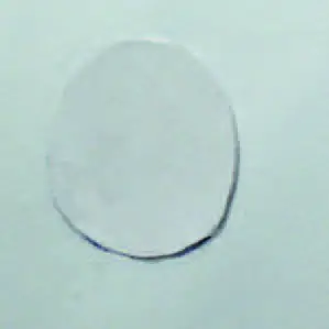 SEA -EAGLE- 285FPB -Frameless -Pontoon- Boat-62