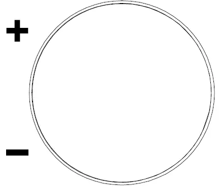 ROMMELSBACHER DA 350 Food Dehydrator 06