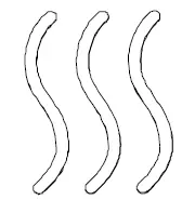 ROMMELSBACHER DA 350 Food Dehydrator 08