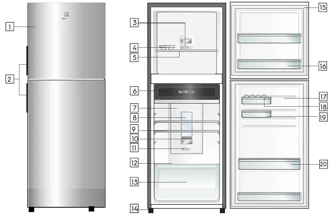 Electrolux-ETB2502J-H-Refrigerator-FIG-12