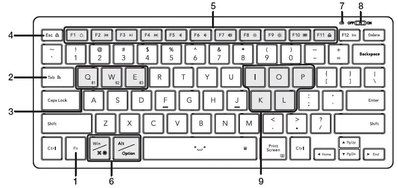 Elecom TK-FBP102 Wireless Keyboard FIG 1