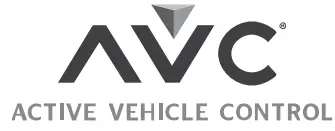 HORIZON HOBBY 9320977 1 10 Ruckus 4WD Monster Truck Brushless RTR - FIG 19