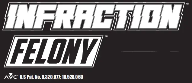 HORIZON HOBBY 9320977 1 10 Ruckus 4WD Monster Truck Brushless RTR - ICON