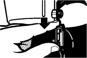 Press down on the gate latch and lift open gate