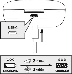 Charging Instructions