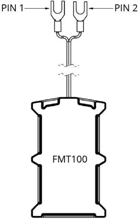FMT100 Pinout