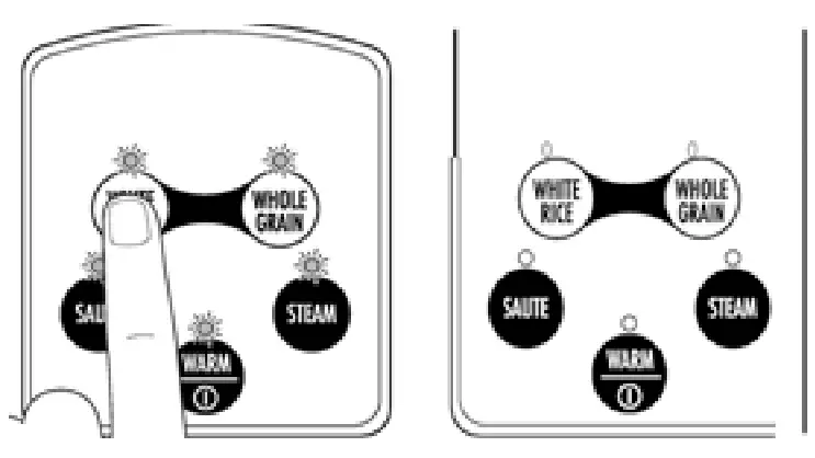 wilfa RC 5S INARI Rice Cooker - Light