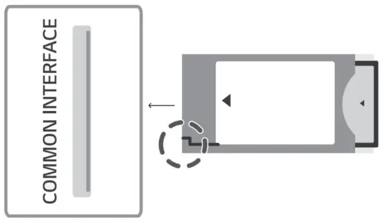 LG 65QNED913PA 65 (165 cm) 4K HDR Smart QNED MINI LED TV - FIG 16