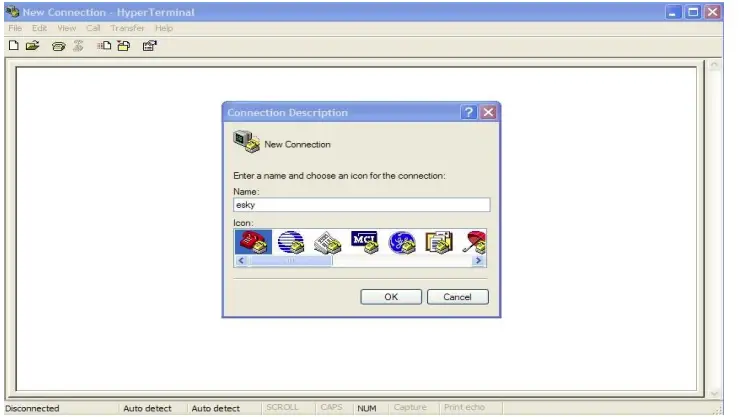 esky ES811 BLE Sensor 2