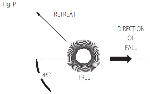 DEWALT DCCS670 60V Cordless Chainsaw Instruction Manual - Figure P