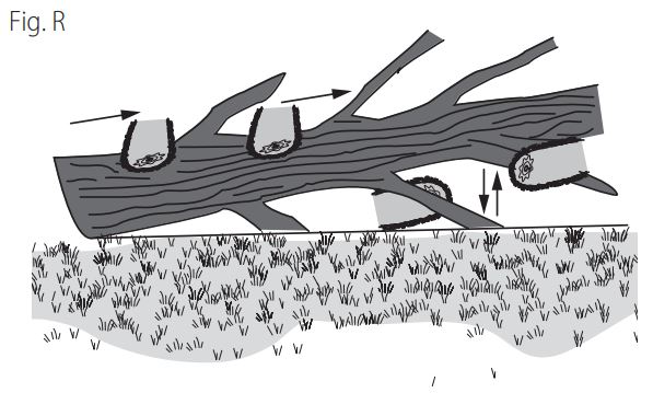 DEWALT DCCS670 60V Cordless Chainsaw Instruction Manual - Figure R