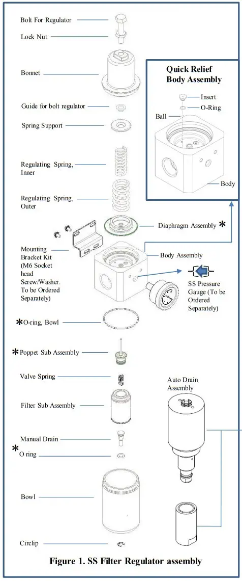 Regulator assembly