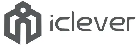 iclever BTH12 Wireless Headset - logo