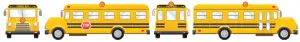 School Buses