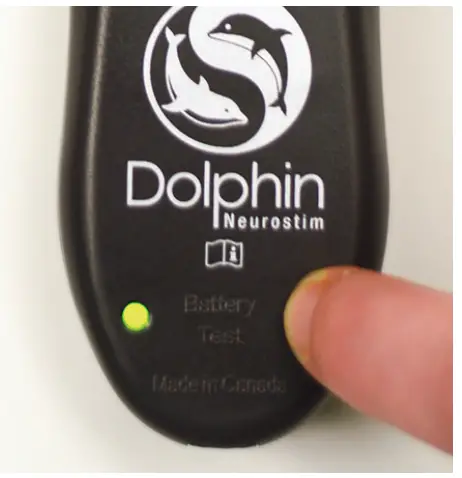 Dolphin Neurostim AML DNSKRX OTC OTC Simulation - fig 13