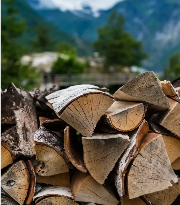 HEGEL H190 Integrated Amplifier User Manual - Wood