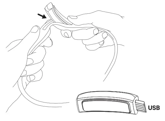 Knog Quokka Run 150 Hand Lamp - usb