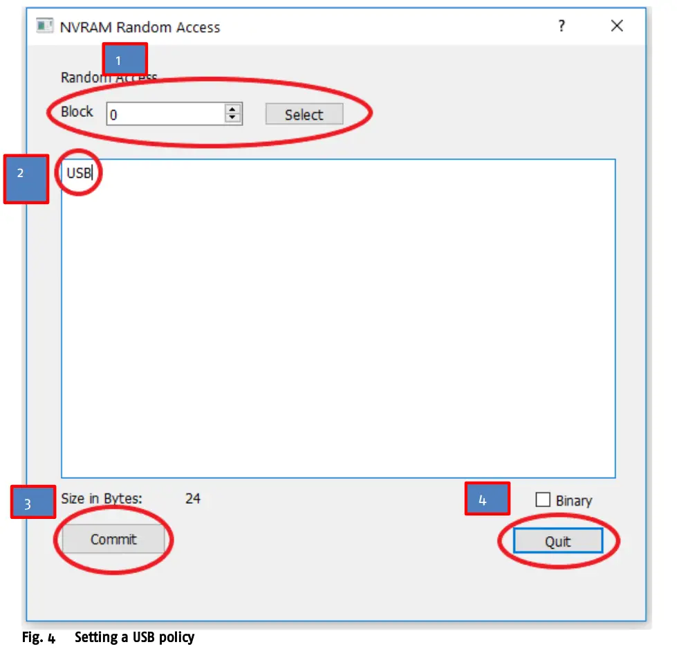 Fig. 4 Setting a USB policy