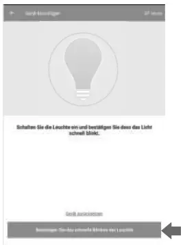 Paul Neuhaus 16429 Ceiling Light-fig9