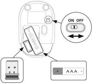 Assembly Instruction