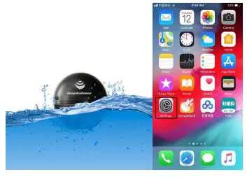 NingNingbo Bohui Senheng Technology 2A36H-DOLPHIN Deep Balance Fish fig-3bo Bohui Senheng Technology 2A36H-DOLPHIN Deep Balance Fish fig-3