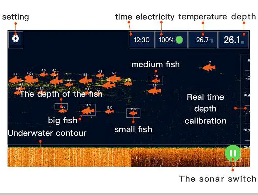 Ningbo Bohui Senheng Technology 2A36H-DOLPHIN Deep Balance Fish fig-6