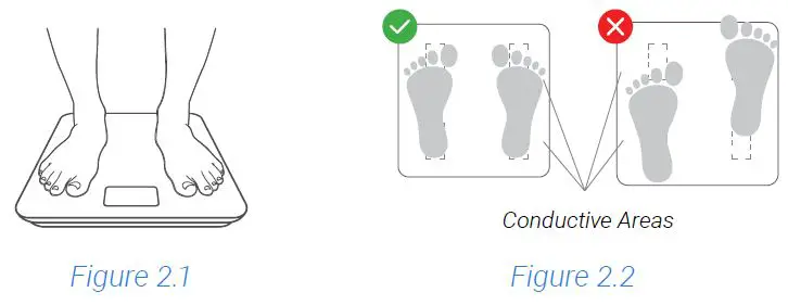 ETEKCITY ESF-551 Smart Fitness Scale fig-7