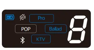 MEINIAO-A2-Loudspeaker-Microphone-with-Digital-screen-FIG-2