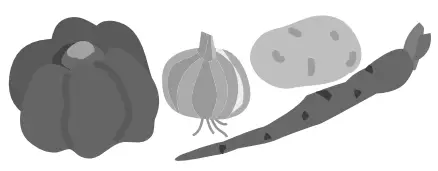 Panasonic NR CY55CGKAU 494L French Door Fridge - fig 25