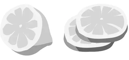 Panasonic NR CY55CGKAU 494L French Door Fridge - fig 28