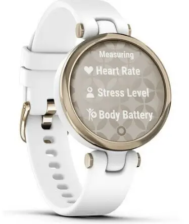 GARMIN-03927-Smartwatch-with-Touch-Screen-PRODUCT