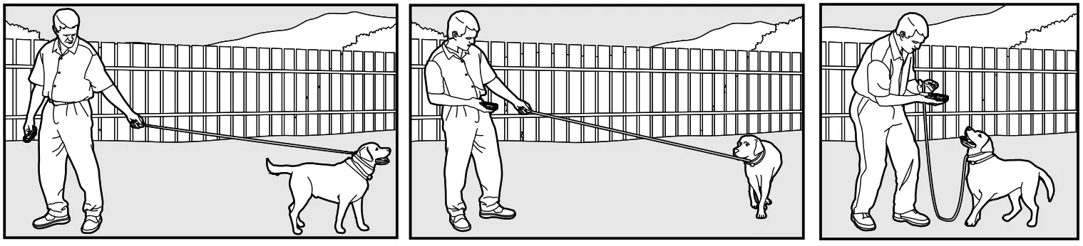 Smart P11 Dog Training Collar - fig 23