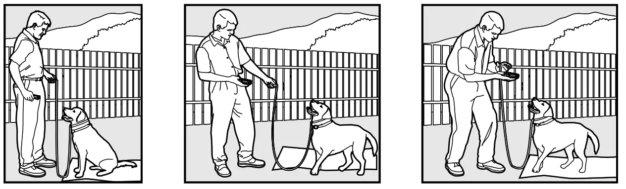 Smart P11 Dog Training Collar - fig 24