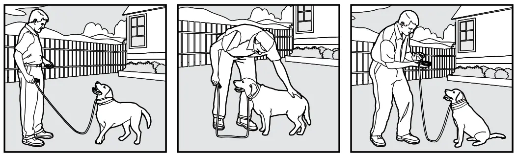 Smart P11 Dog Training Collar - fig 25