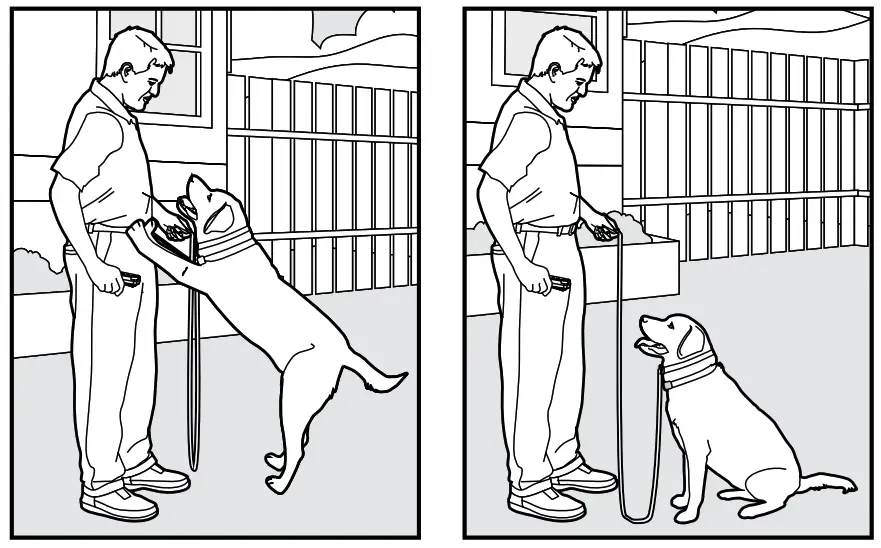 Smart P11 Dog Training Collar - fig 26