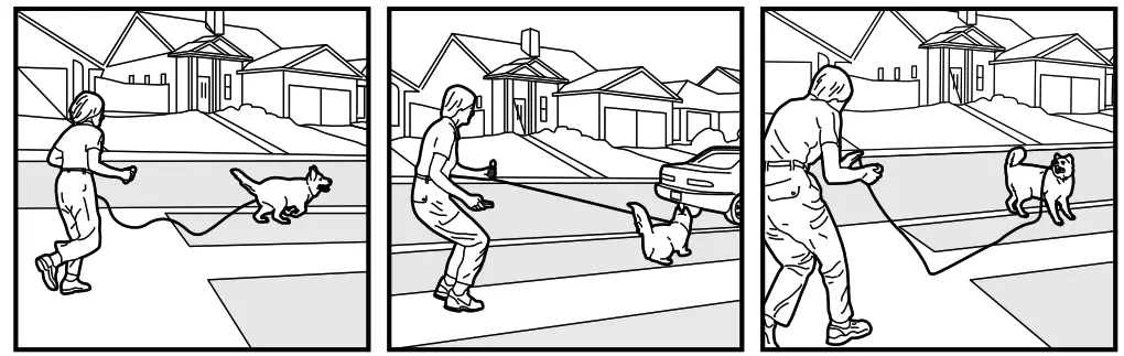 Smart P11 Dog Training Collar - fig 29