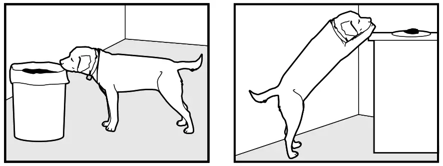 Smart P11 Dog Training Collar - fig 30