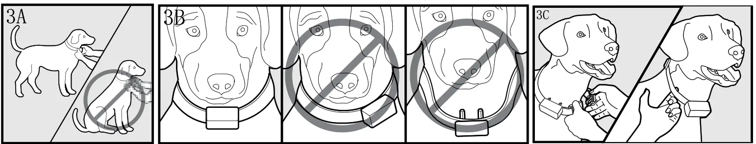 Smart P11 Dog Training Collar - fig 7