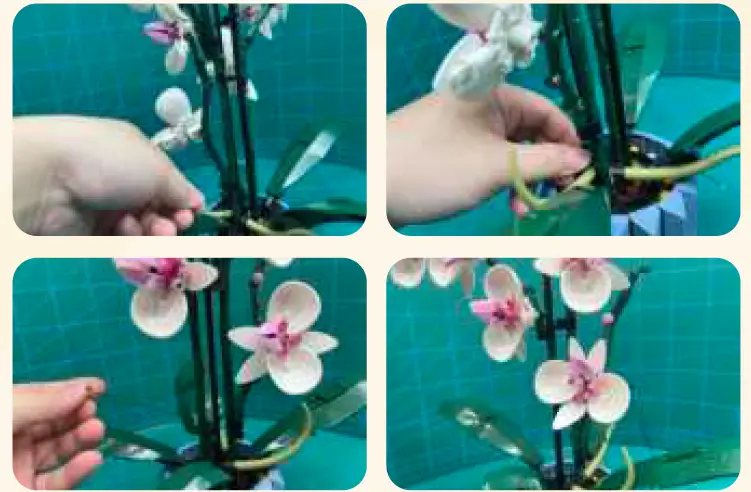 GAME-OF-BRICKS-10311-Light-Kit-for-Orchid-08