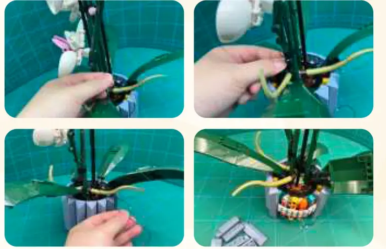 GAME-OF-BRICKS-10311-Light-Kit-for-Orchid-09