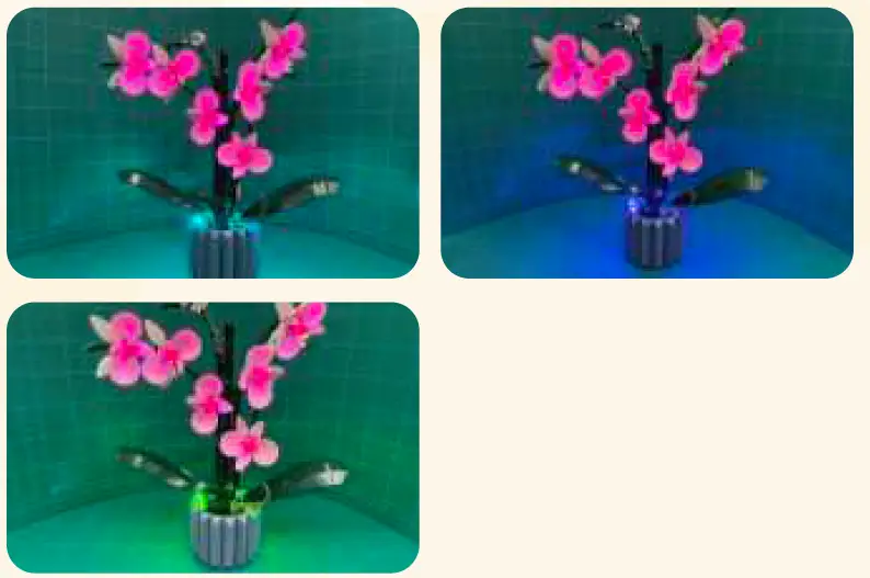 GAME-OF-BRICKS-10311-Light-Kit-for-Orchid-20