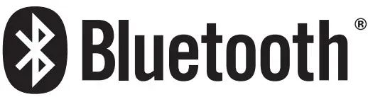 Bluetooth Logo