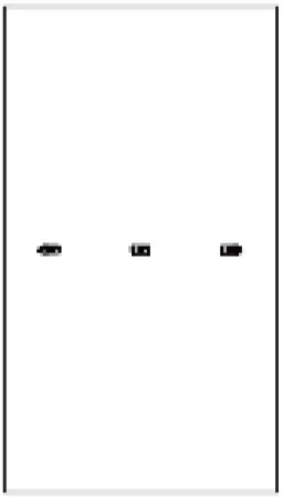 LONGi-66HIH-500W-Half-Cut-66-cells-Mono-Solar-12