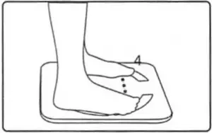 Electronic-Balance-initiate-measurement