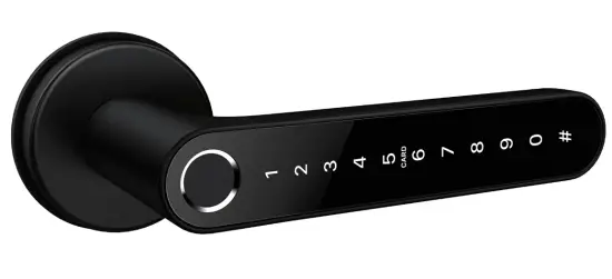 Lightsource N31-TTB Smart Door Lock - Door