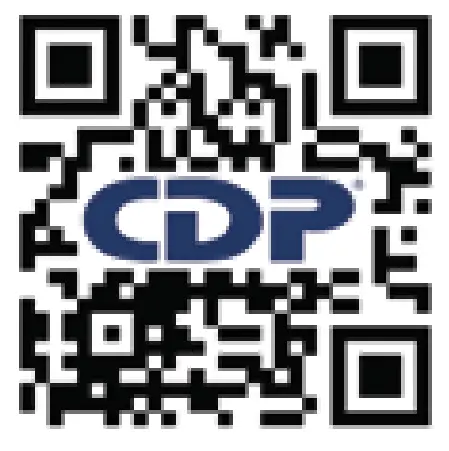 CDP R SMART 751 Interactivo 750VA 350W Pan LCD 10 Outlets - Qr Code