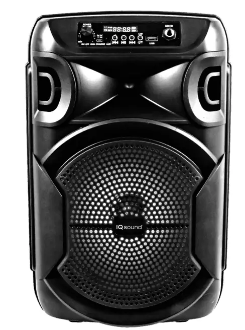 IQ sound-IQ-5308DJBT-Portable-BT-Speaker-System