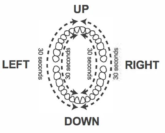 Faylor-Fl-A23-Sonic-Electric-Toothbrush-fig-3